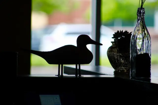 Brunch at The Shaved Duck — photo 3