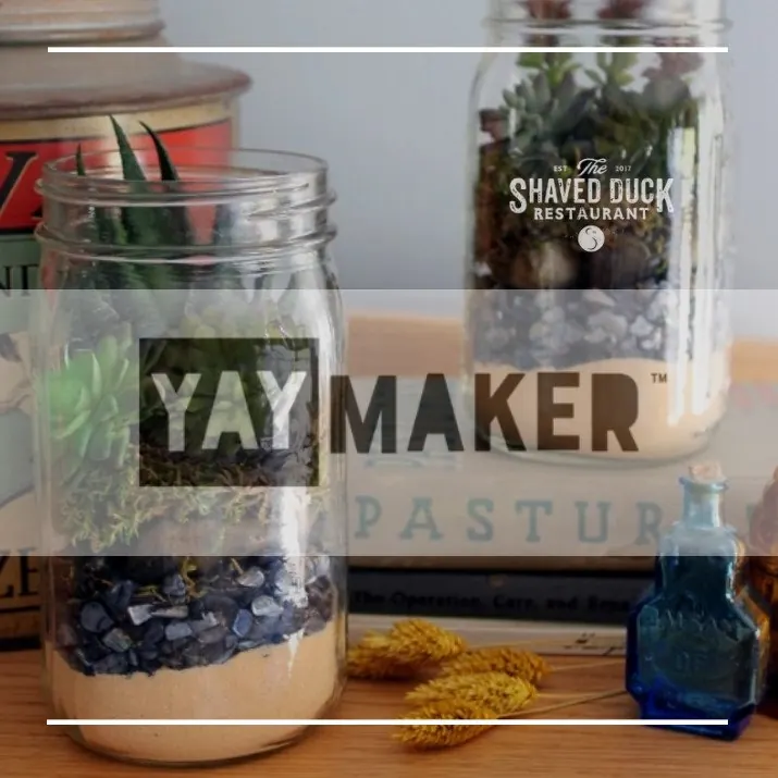 Yaymaker Plant Nite: Tropical Terrarium in Glass Jar